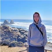 Englisch und Spanisch: Online Nachhilfe und Übersetzungsarbeit